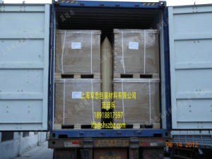 Kraft Paper Inflatable Dunnage Air Bag Protect for Long Distance Transport Goods